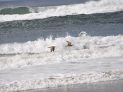 Point Reyes National Seashore