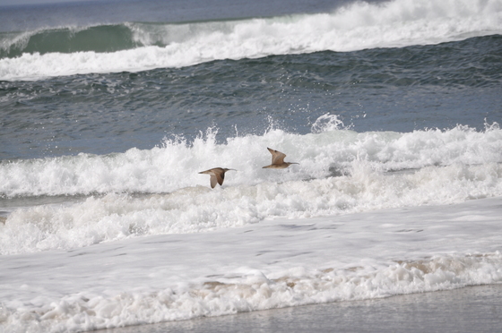 Point Reyes National Seashore