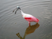 Everglades National Park