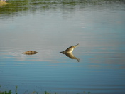 Everglades National Park