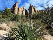 Chiricahua National Monument