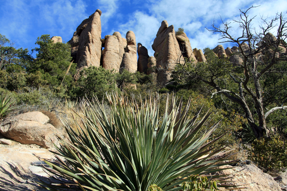 Chiricahua National Monument