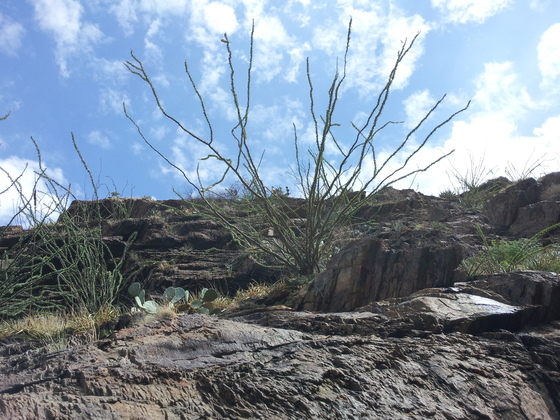 Big Bend