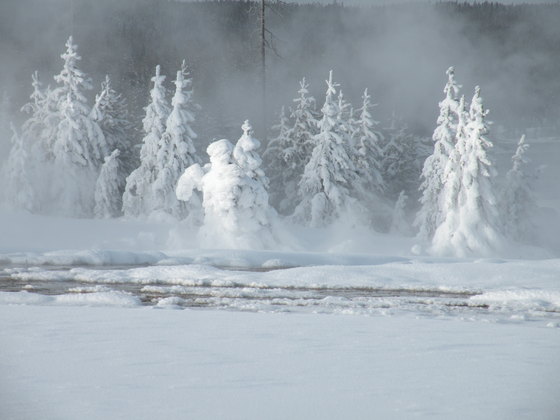 Yellowstone
