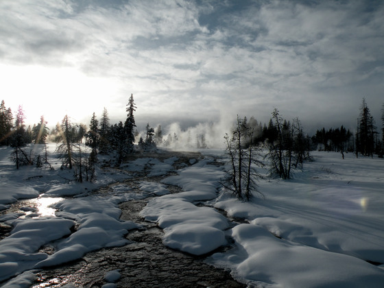 Yellowstone