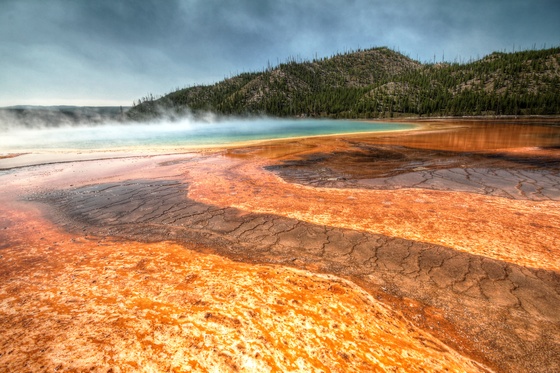 Yellowstone NP