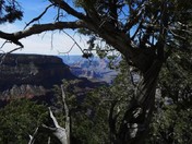 Grand Canyon National Park 