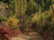 Bureau Of Land Management