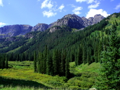 Uncompahgre National Forest