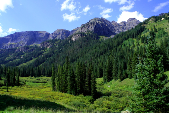 Uncompahgre National Forest