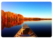 Superior National Forest