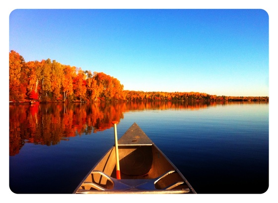 Superior National Forest