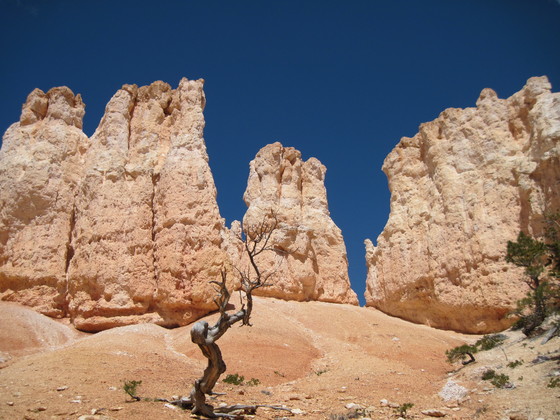 Bryce