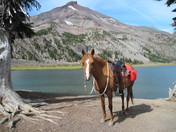 Deschutes National Forest