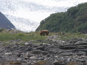 Glacier Bay National Park