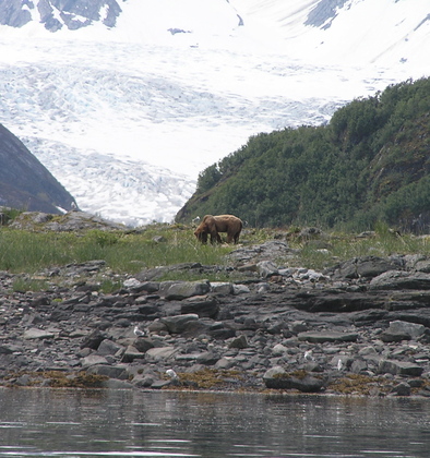 Glacier Bay National Park