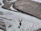 Denali National Park