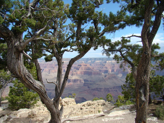 Grand Canyon
