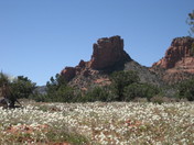 Bell Rock Pathway / Coconino National Forest