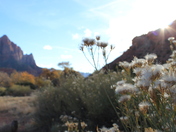 Zion National Park