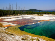 Yellowstone National Park