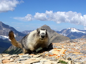 Glacier National Park