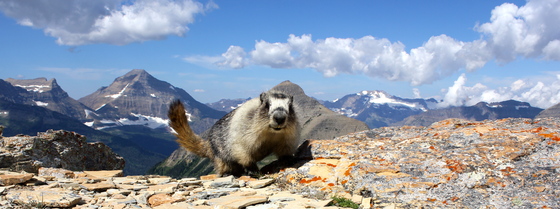 Glacier National Park