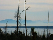 Grand Teton / Greater Yellow Stone