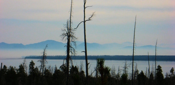Grand Teton / Greater Yellow Stone