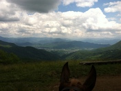 Cataloochee Valley - Great Smoky Mountains