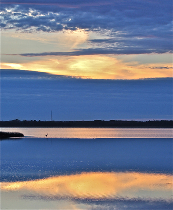 Back Bay Wildlife Refuge