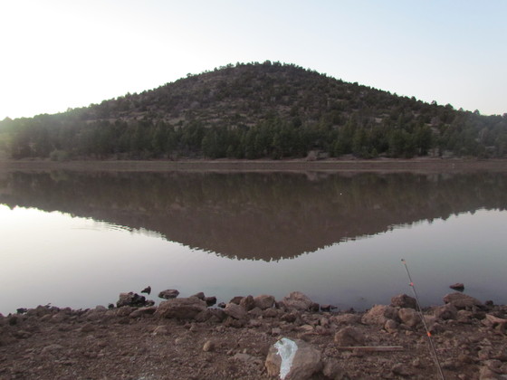 Williams, AZ