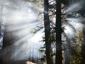 Yosemite National Park