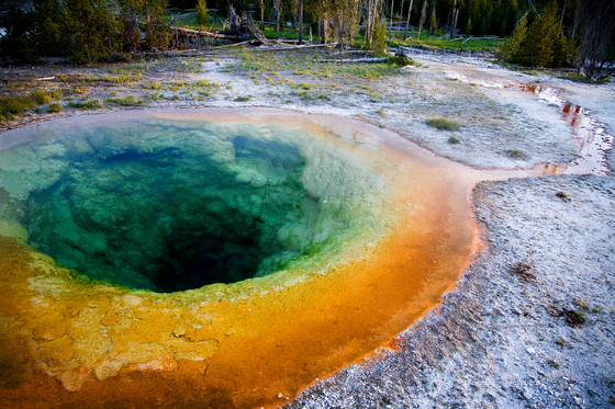 Yellowstone National Park