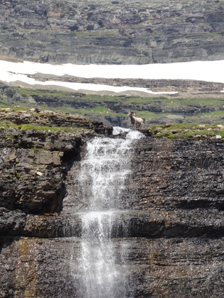 Glacier National Park