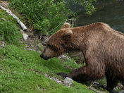 Katimi National Park