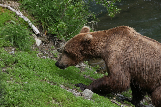 Katimi National Park
