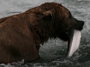 Katimi National Park