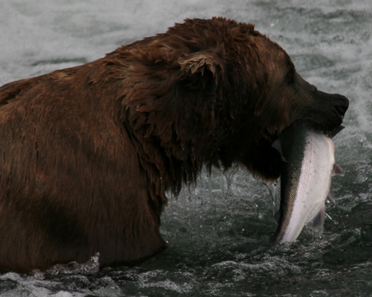 Katimi National Park