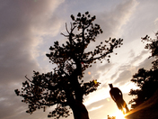 Rocky Mountain National Park