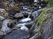 Sequoia National Park