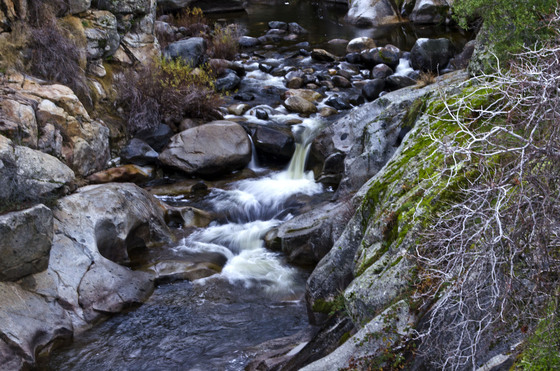 Sequoia National Park