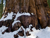 Sequoia National Park