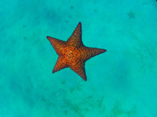 Virgin Islands National Park