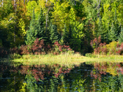 Voyageurs National Park