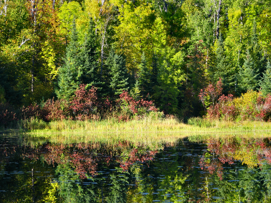 Voyageurs National Park