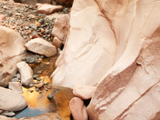 Tonto National Forrest