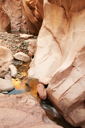 Tonto National Forrest