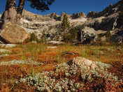 Sequoia National Park