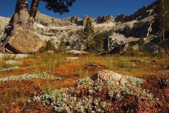 Sequoia National Park